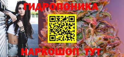 сатива Комсомольск-на-Амуре