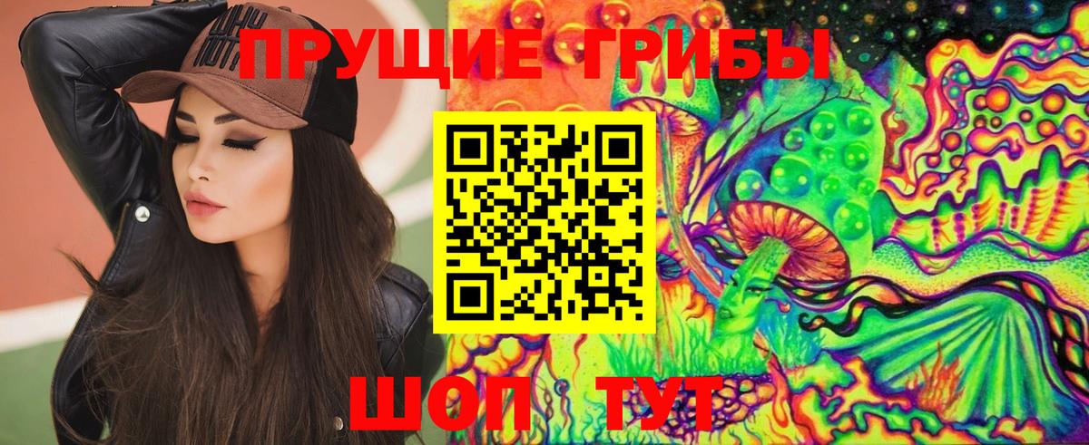 Галлюциногенные грибы прущие грибы Зима