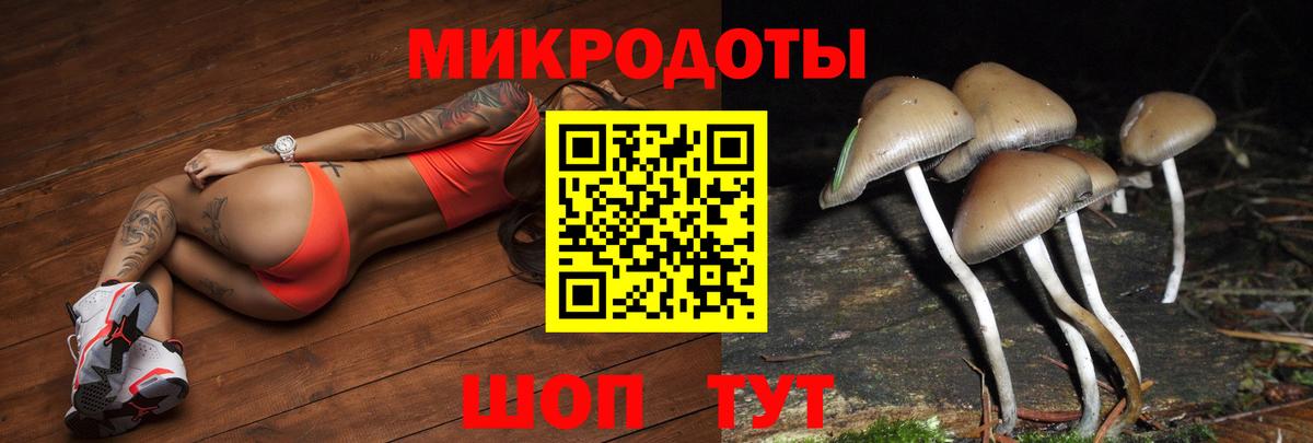 Псилоцибиновые грибы мицелий  Псилоцибиновые грибы мухоморы  Вход с VPN  Зима 
