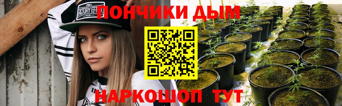 МАРИХУАНА планчик  Вход с VPN  Каннабис OG Kush  Зима  МАРИХУАНА индика 
